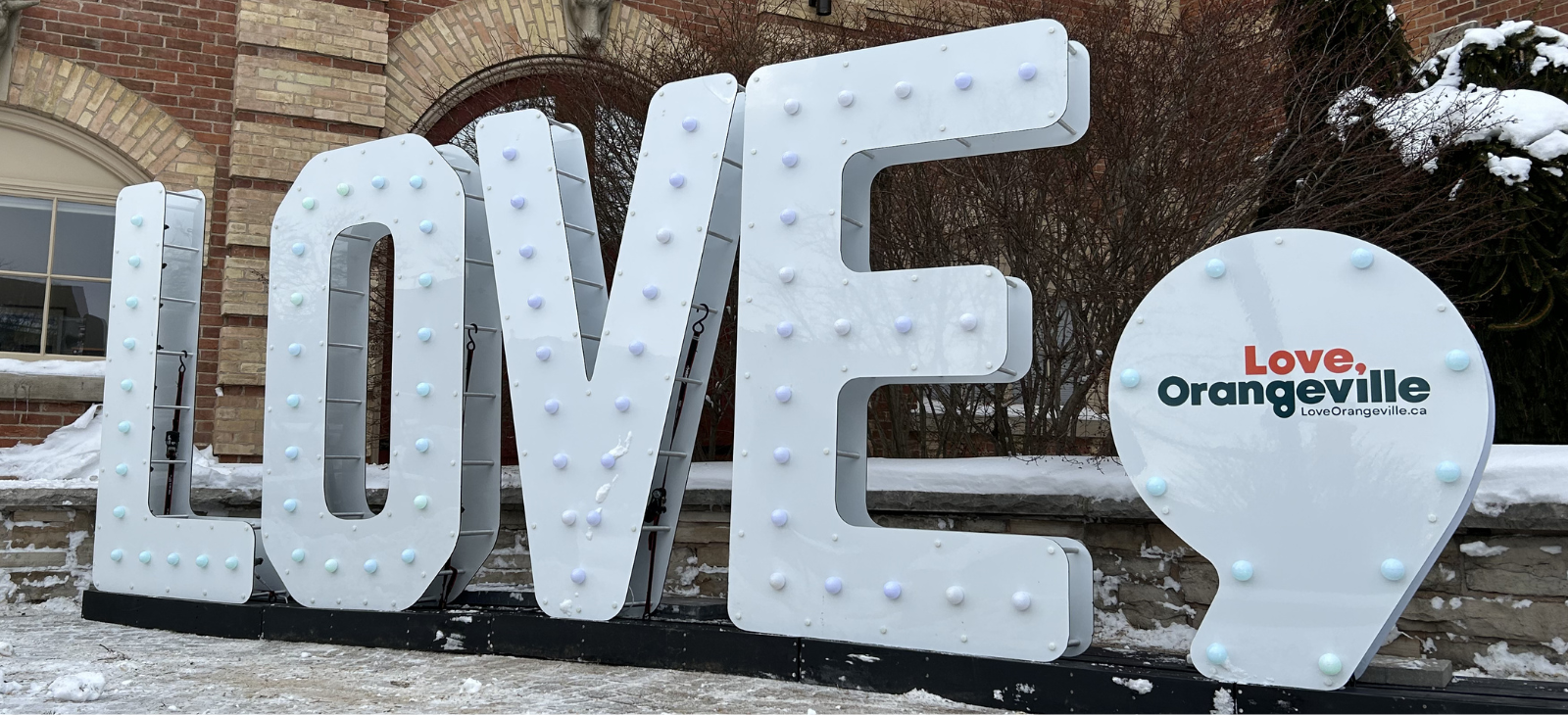 Two women smile while standing in a flower shop surrounded by plants and blooms.